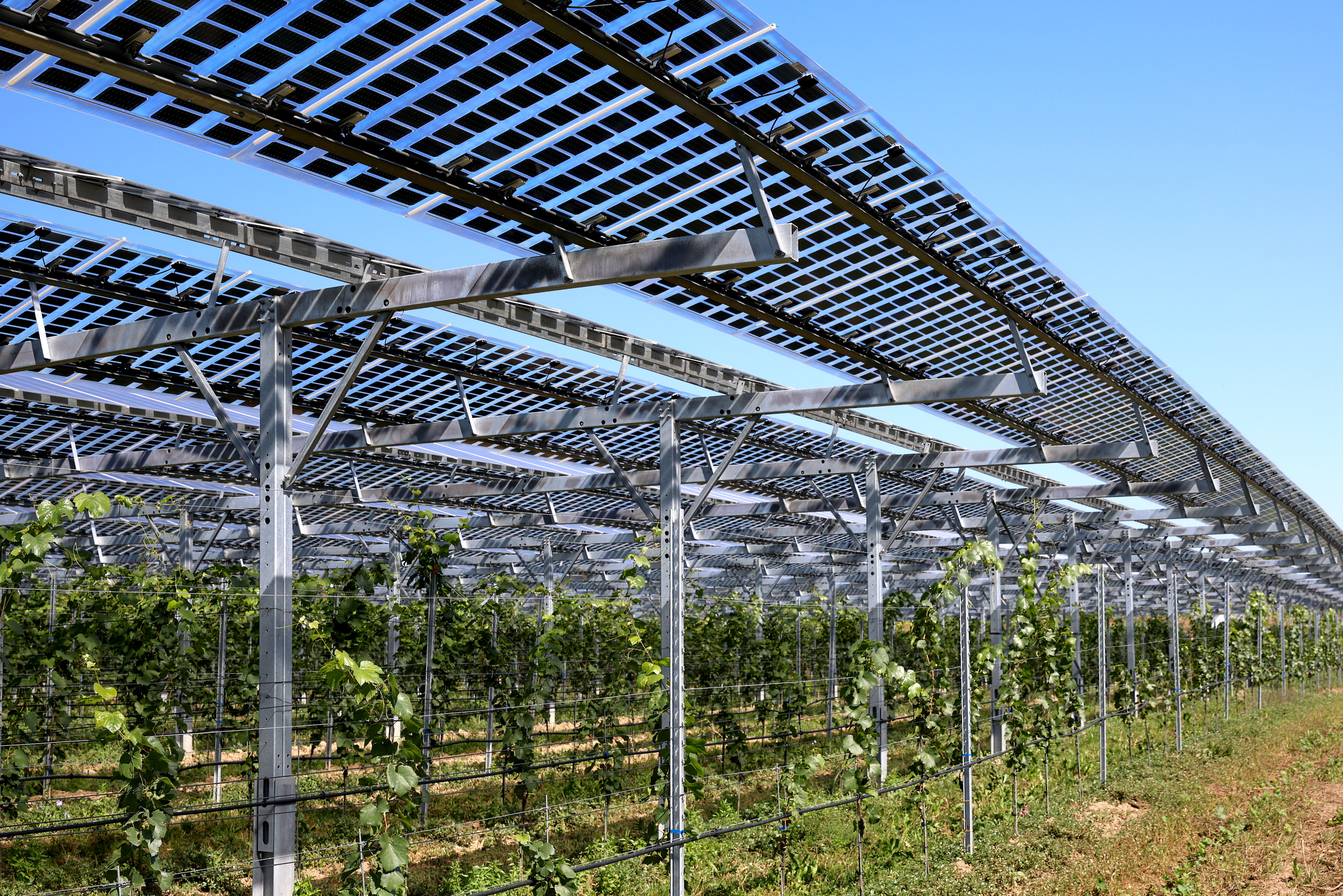 Placas solares transparentes: cómo funcionan