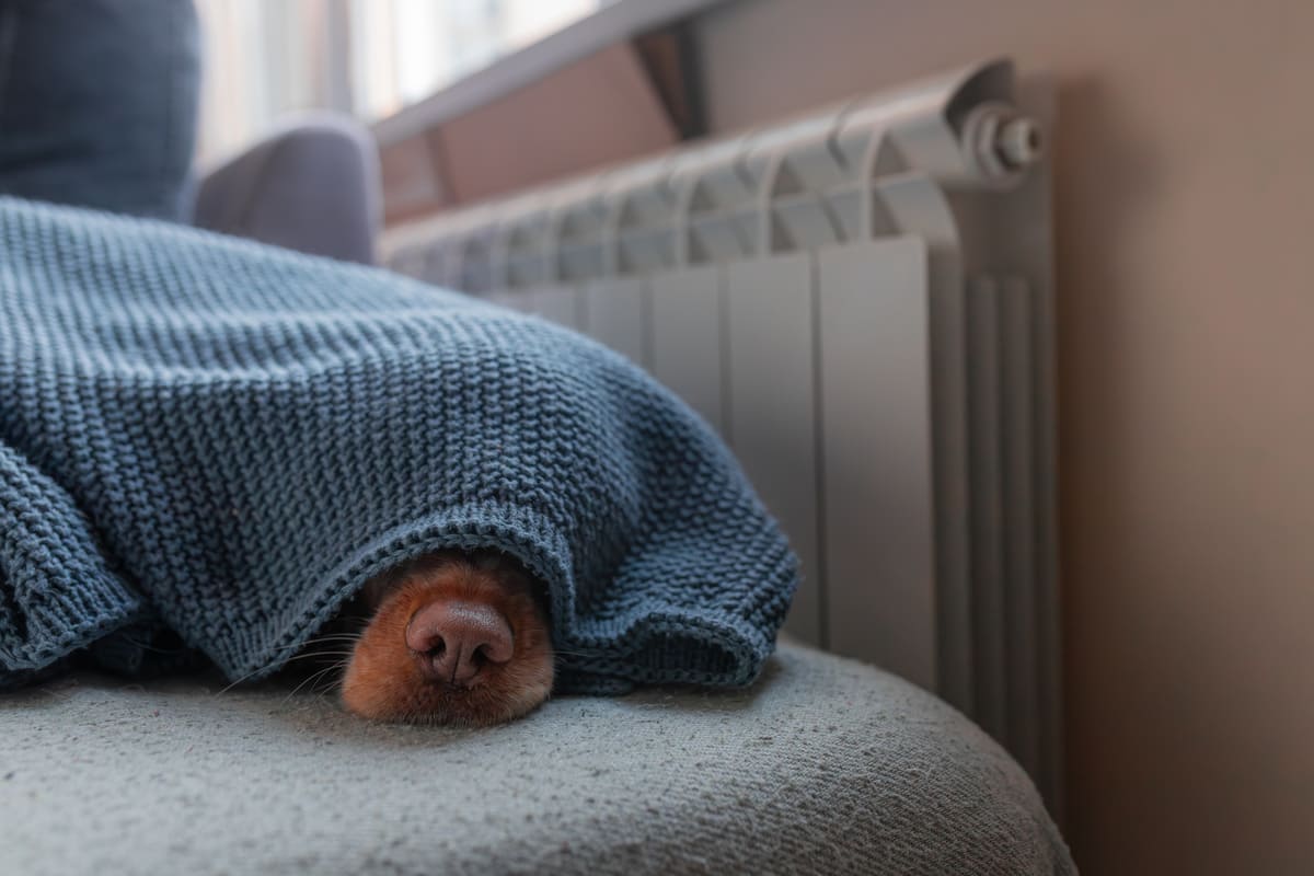 Imagen Cómo preparar tu factura para el invierno: ajustes antes de encender la calefacción