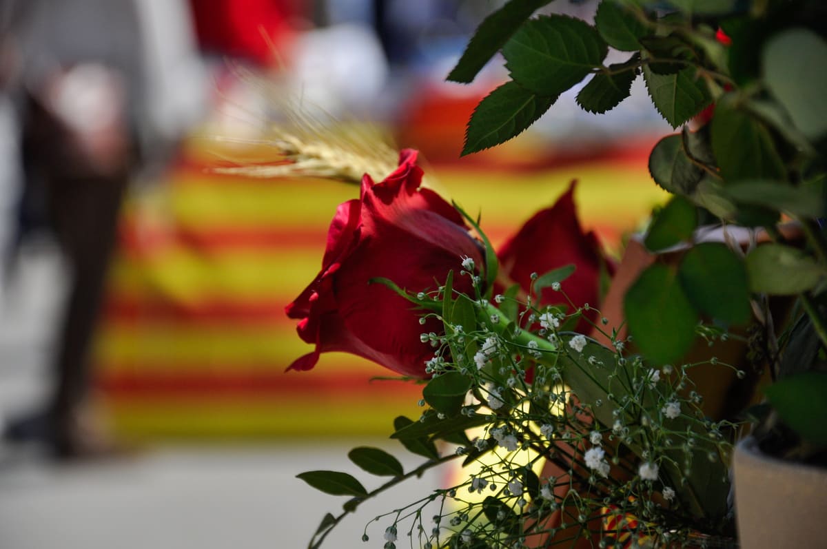 Sant Jordi e Iberdrola