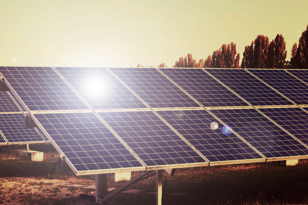 ¿HABRÁ UN FUTURO ENERGÉTICO VERDE? ¿HABRÁ UN FUTURO ENERGÉTICO VERDE?