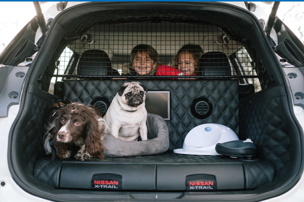 Imatge Tu coche eléctrico cuidará de tu perro
